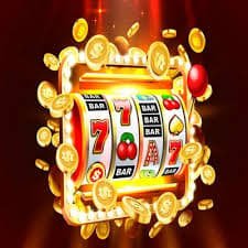 Cricket and casino-style entertainment categories shown for jlpt n5 users